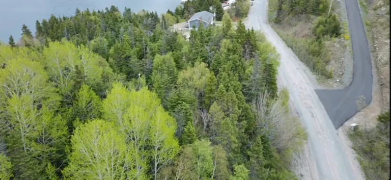 Aerial view of my land in Apsey Brook as taken by Bernie Cooper with his drone