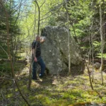 A huge granite erratic standing on my property on Random Island, Newfoundland